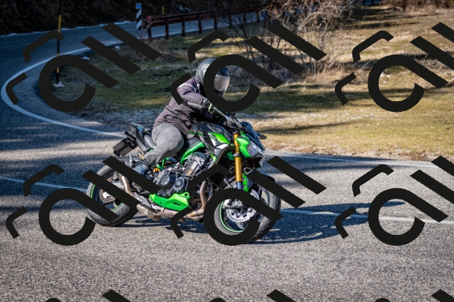 202602281236-DSC_1173_c2