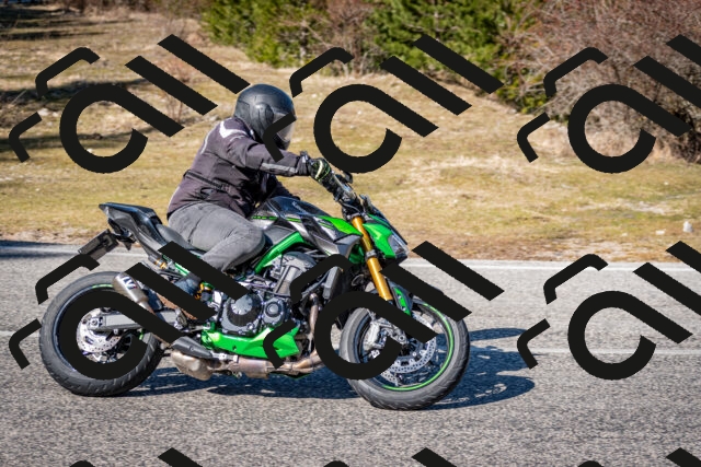 202602281236-DSC_1174_c2