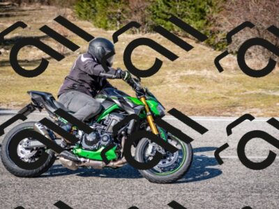 202602281236-DSC_1174_c2