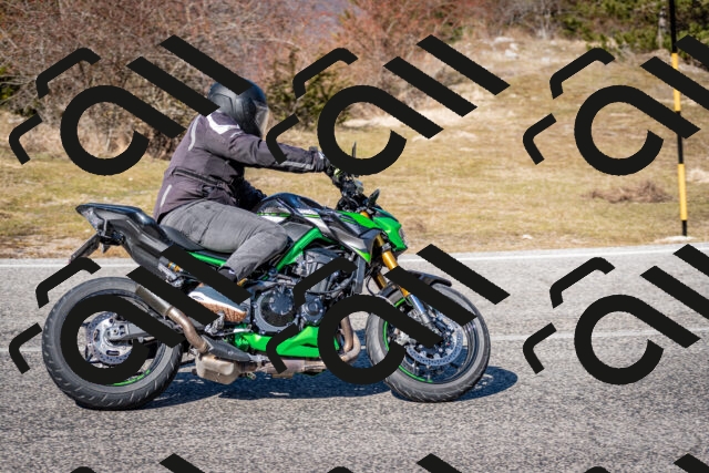 202602281236-DSC_1175_c2