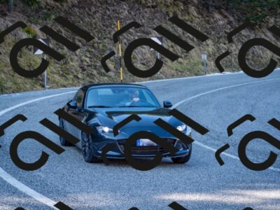 202602281239-DSC_1180_c2