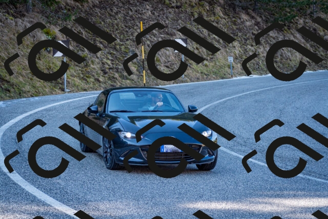 202602281239-DSC_1180_c2