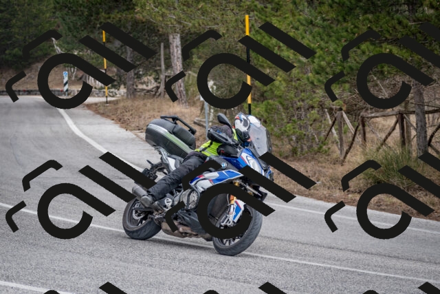 202603011210-DSC_1205_c2