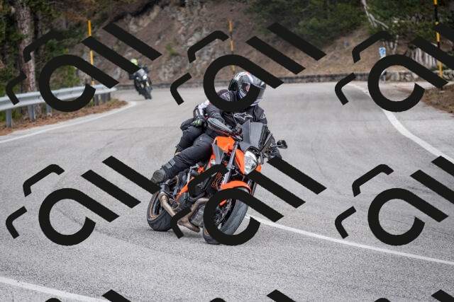 202603011210-DSC_1208_c2