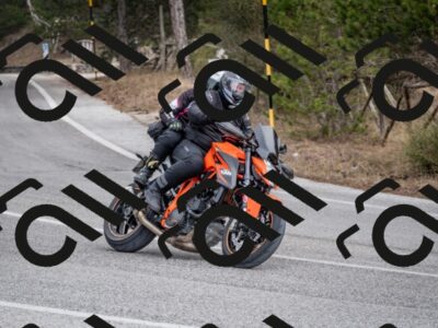 202603011210-DSC_1209_c2