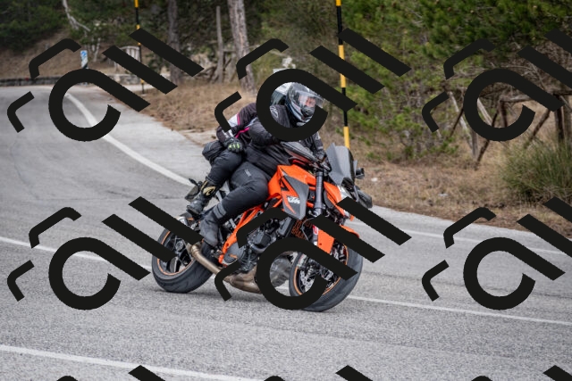 202603011210-DSC_1209_c2