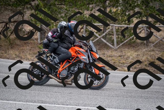 202603011210-DSC_1210_c2