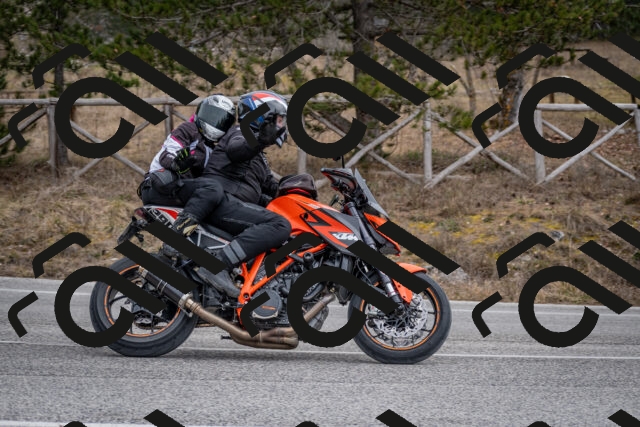 202603011210-DSC_1211_c2