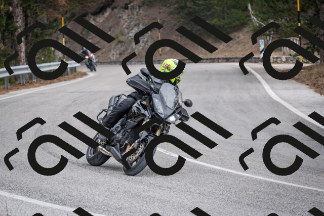 202603011210-DSC_1212_c2