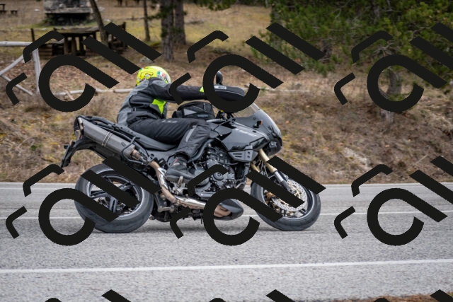 202603011210-DSC_1213_c2