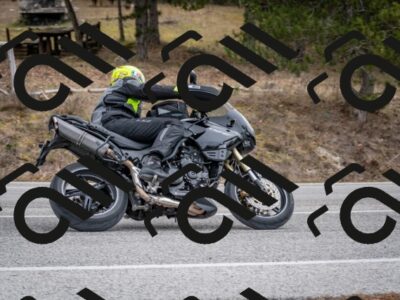 202603011210-DSC_1213_c2