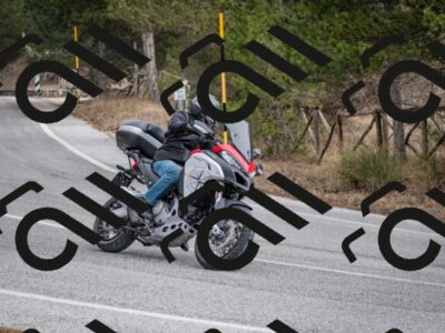 202603011210-DSC_1215_c2