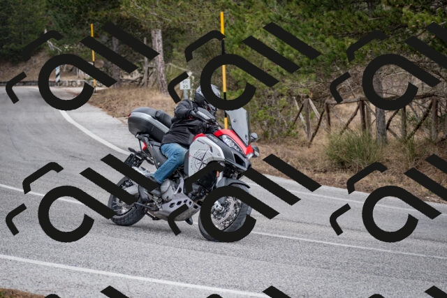 202603011210-DSC_1215_c2