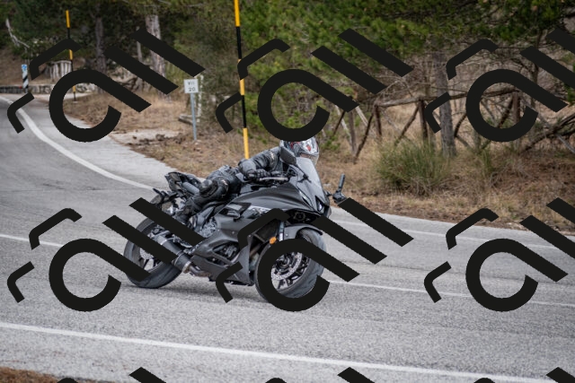 202603011210-DSC_1217_c2