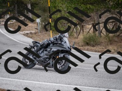 202603011210-DSC_1217_c2