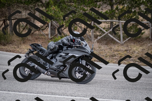 202603011210-DSC_1218_c2