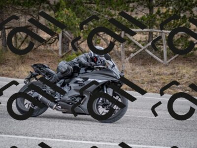 202603011210-DSC_1218_c2