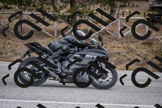 202603011210-DSC_1219_c2