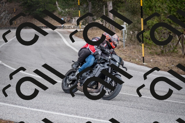 202603011210-DSC_1220_c2