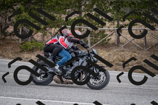 202603011210-DSC_1221_c2