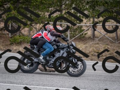 202603011210-DSC_1221_c2