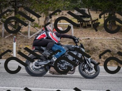 202603011210-DSC_1222_c2