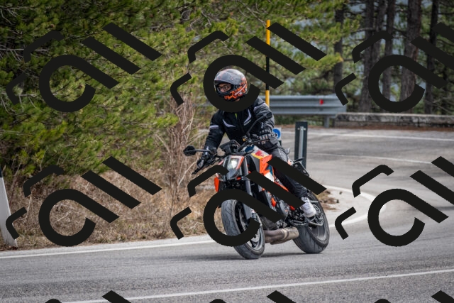 202603011213-DSC_1223_c2