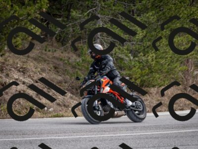 202603011213-DSC_1224_c2