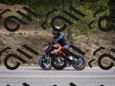 202603011213-DSC_1225_c2