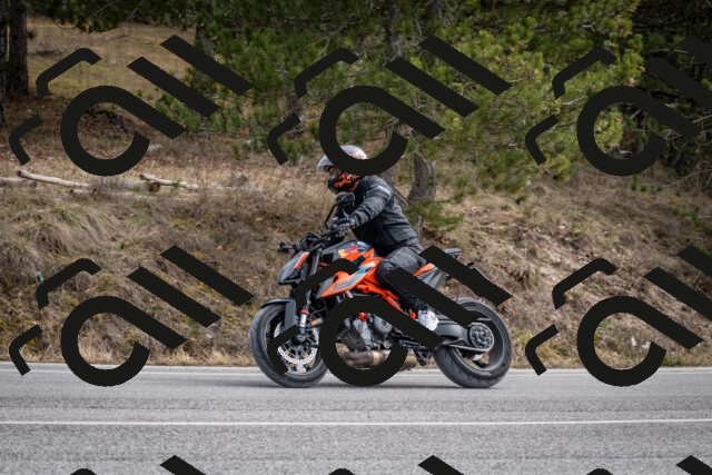 202603011213-DSC_1225_c2