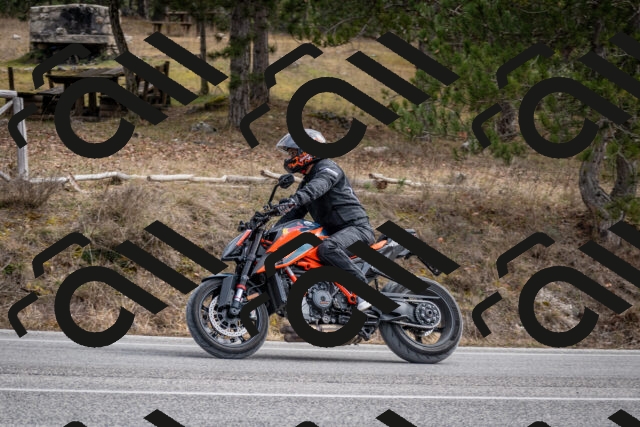 202603011213-DSC_1226_c2