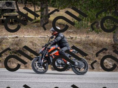 202603011213-DSC_1226_c2