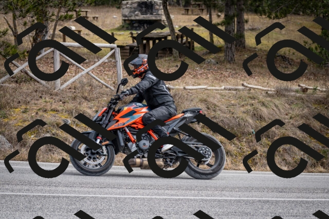 202603011213-DSC_1227_c2