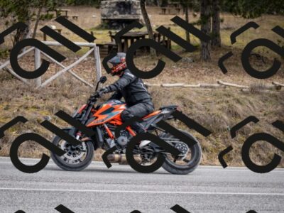 202603011213-DSC_1227_c2