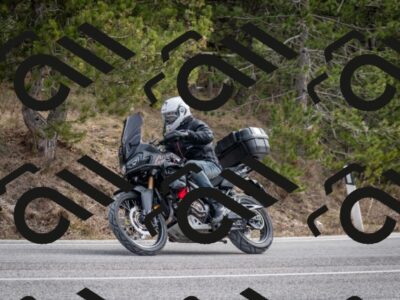 202603011213-DSC_1228_c2