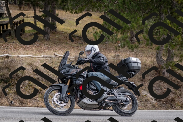 202603011213-DSC_1229_c2