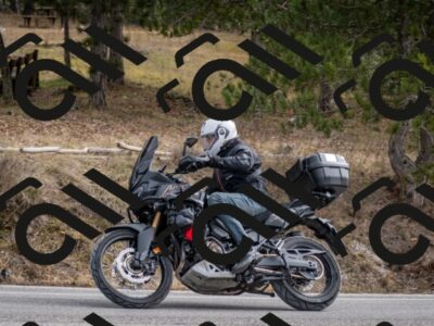 202603011213-DSC_1229_c2