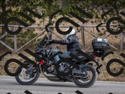 202603011213-DSC_1231_c2