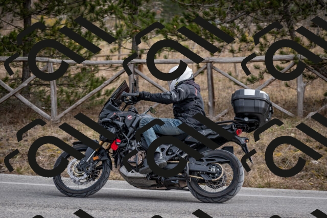 202603011213-DSC_1231_c2