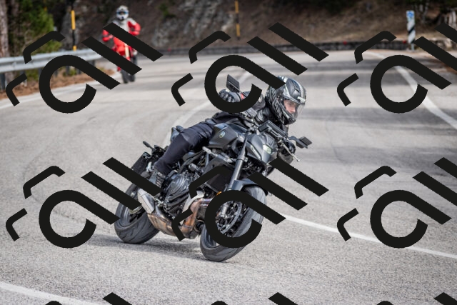 202603011217-DSC_1233_c2