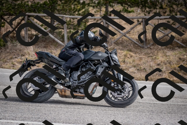 202603011217-DSC_1235_c2