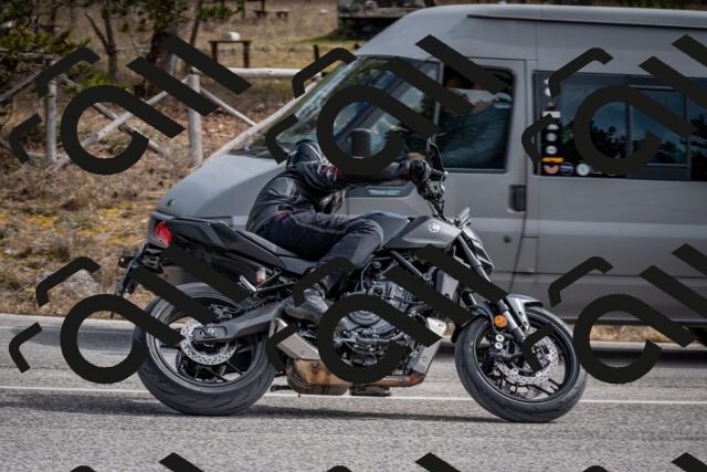 202603011217-DSC_1236_c2