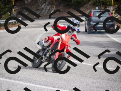 202603011217-DSC_1237_c2