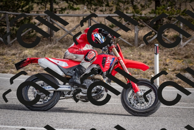 202603011217-DSC_1239_c2