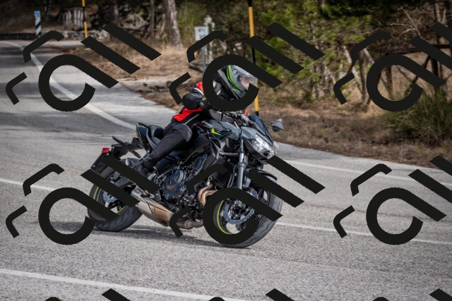 202603011217-DSC_1245_c2