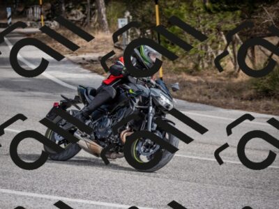 202603011217-DSC_1245_c2