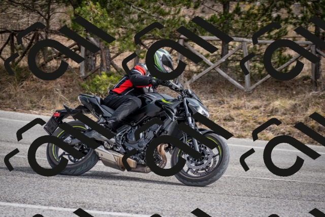 202603011217-DSC_1246_c2