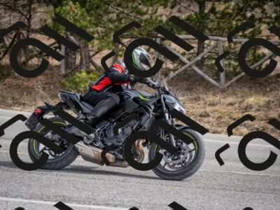 202603011217-DSC_1246_c2