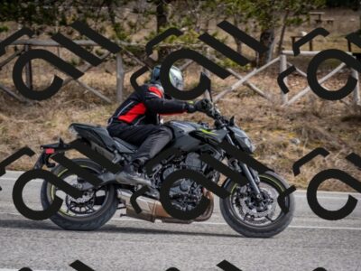 202603011217-DSC_1247_c2