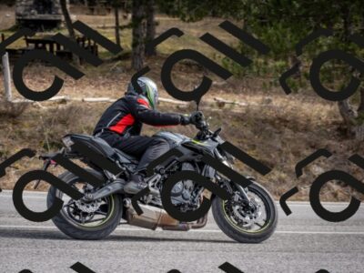 202603011217-DSC_1248_c2